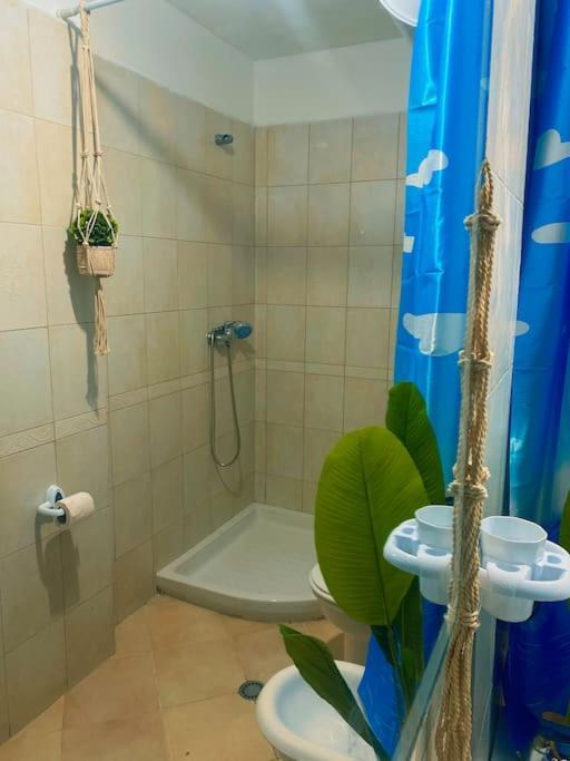 City Central Amazona Appartment Tirana Exterior foto